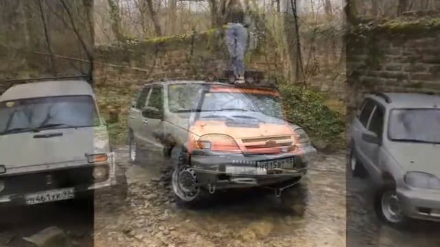 Мацестинский лес смотреть онлайн