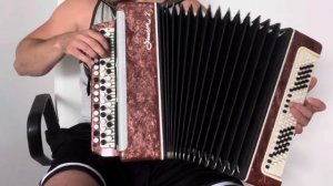 одинокая ветка сирени на баяне унисон 2 🤩 подарок от очень хорошего человека ♥️