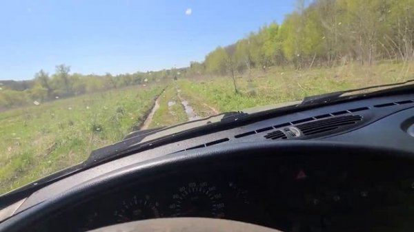 Chevy Niva forest drive through / Покатушки Шеви Нива