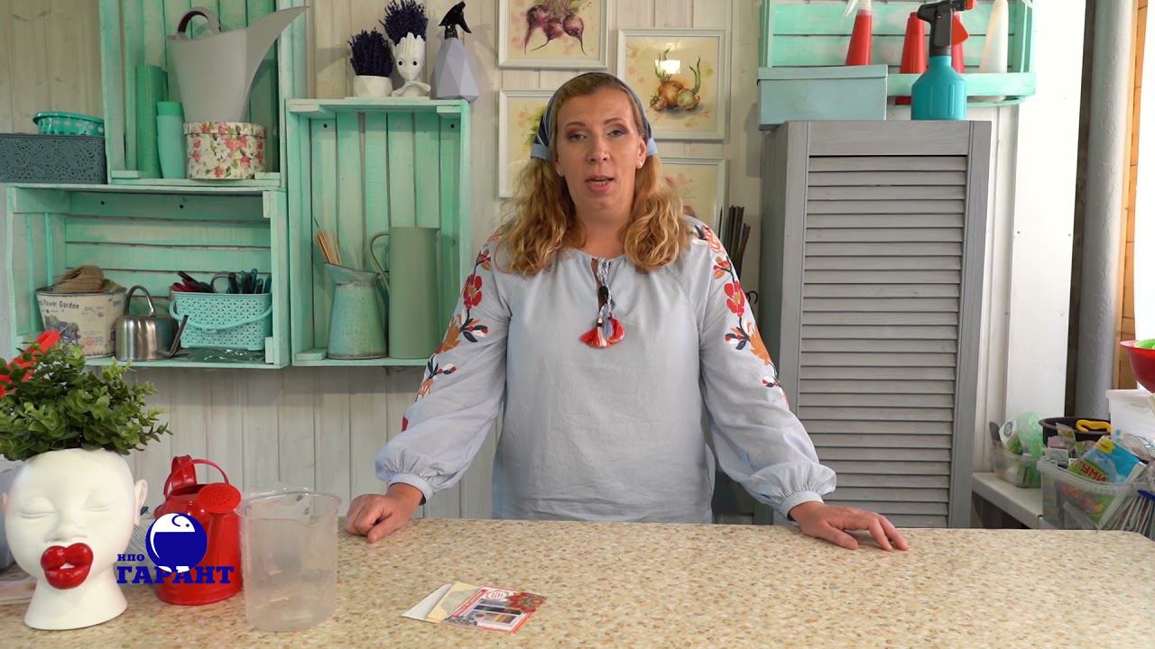 Декоративные наклейки от мух. HLOOP!