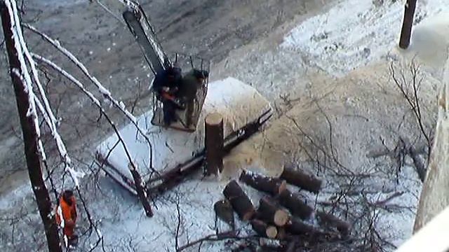 Прощай, дерево! смотреть онлайн