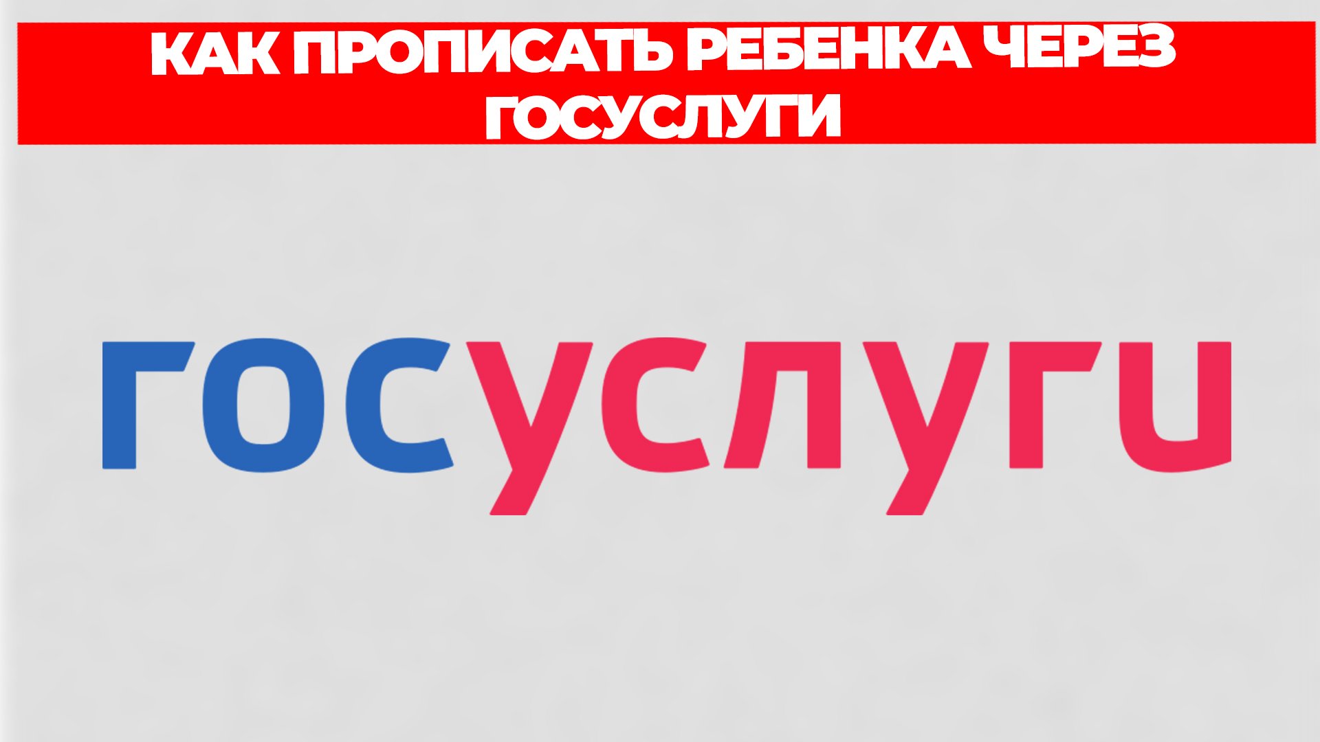 Всезнающий Енот