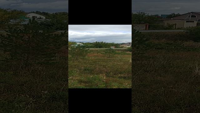 20230827_В Булгаково строят как хотят смотреть онлайн