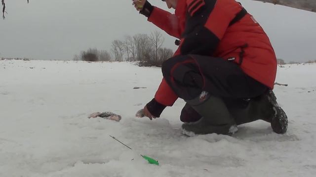 ЭТИ КАРАСИ УТАСКИВАЮТ УДОЧКИ И РВУТ ЛЕСКУ!!!! Рыбалка по первому льду! Карась со льда! смотреть онлайн
