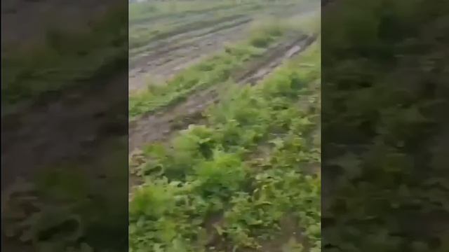 У Нашего Пулемётчика Глаз Как У Орла смотреть онлайн