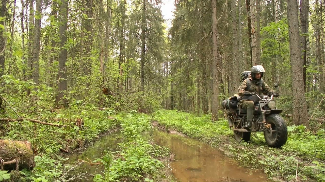 Поход в заброшенные деревни по бывшей УЖД 2 часть #285 смотреть онлайн