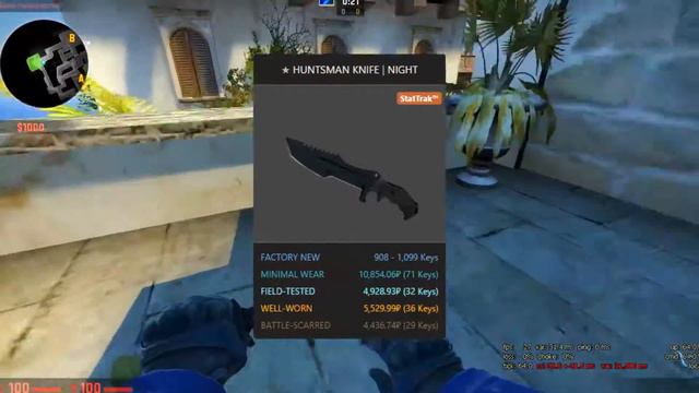 10 редчайших СКИНОВ в CS GO за которые продают КВАРТИРЫ !!! | Самые дорогие и редкие НОЖИ в КС ГО!! смотреть онлайн