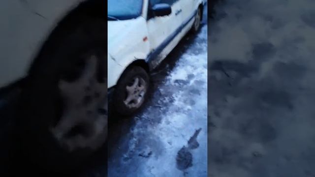 Решетка радиатора на Фольксваген пассат б3 смотреть онлайн