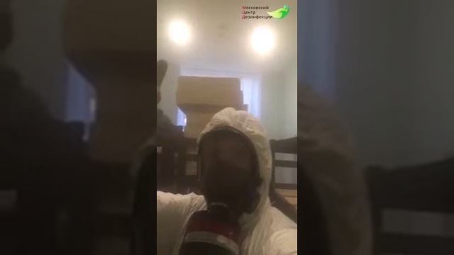 Обработка туманом #9 | Уничтожение тараканов 1000 ₽ в Москве | Фумигация | Дезинсекция | Дезинфекци смотреть онлайн