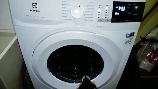 Стиральная машинка Electrolux EW 6F4R 08 WU смотреть онлайн