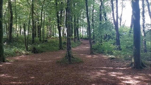 Прогулки Уэльс. Часть 1. Walking in Wales, UK. Part 1 смотреть онлайн