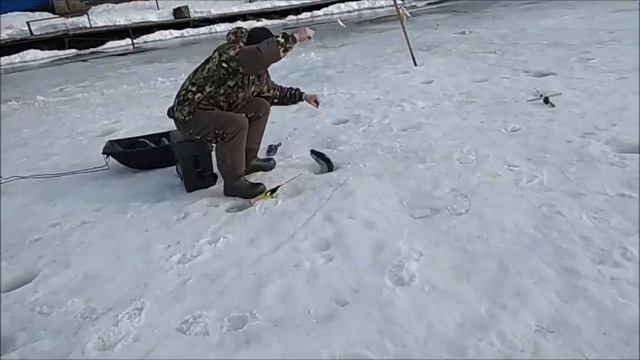 Ловля Форели!!! Приманки для ловли Форели!!! Рыбалка в Подмосковье!!! смотреть онлайн