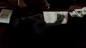 Почему Грядущий Царь молчит?  Таро_расклад Шоу #стрим #вопросподписчика  #грядущийцарь