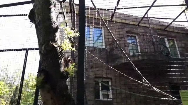 Ялтинский зоопарк "Сказка" 30.04.2018 часть 1 смотреть онлайн