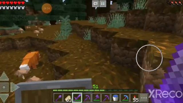 Выживание Pro в Craftsman 4. Обзор мира