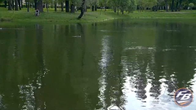 Можно ли поймать ротана на спиннинг смотреть онлайн