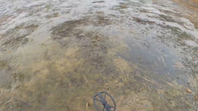 Ветер выдул воду из реки, ищем золото!!!