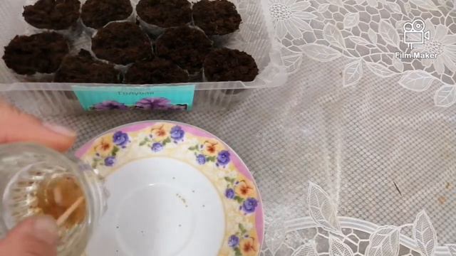 Посев петуний в торфиные таблетки. 🌺🌺🌺  #посевсемян #петуния