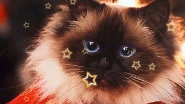 •😱Я не знаю,что снимать!!!😱• Напишите свои варианты💛 смотреть онлайн