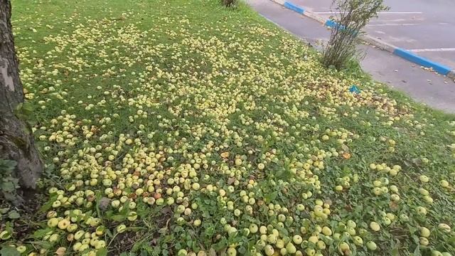 Ответы на коментарии. Как вам такой формат?