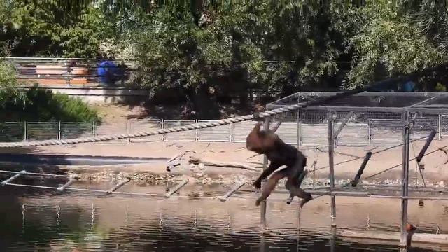 Акробатка Лиза смотреть онлайн