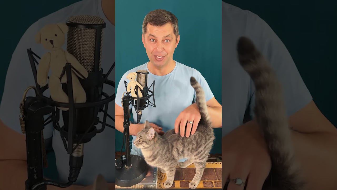 Да будет так! Аффирмация дня: сегодня самый лучший день в моей жизни