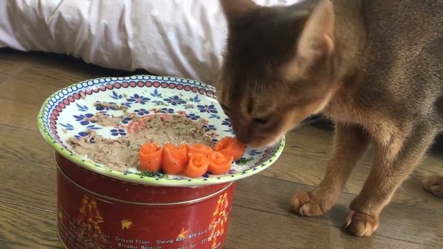 Eevee's 3rd birthday 이브이의 세번째 생일 смотреть онлайн