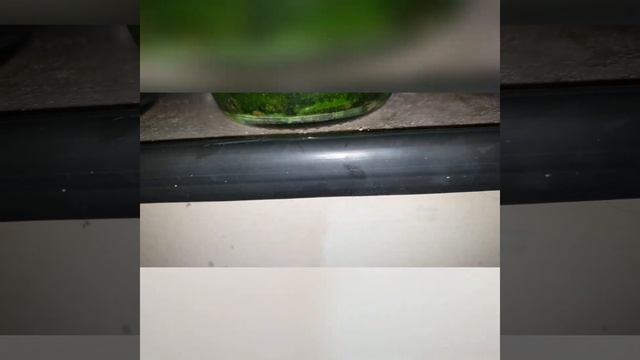 Как обработать бедной пробы позолоту. смотреть онлайн