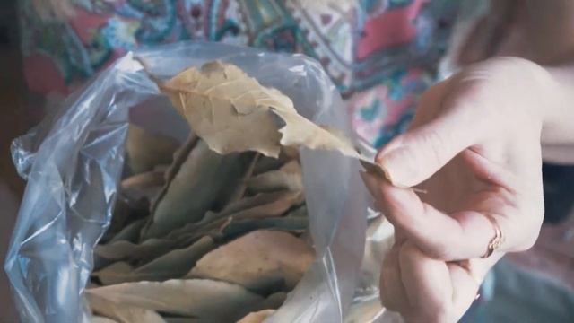 Стройка Мечты