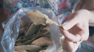 Как правильно сушить лавровый лист?