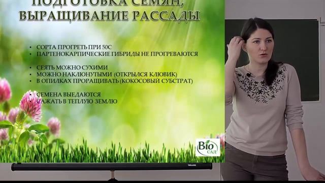 ?Какие бывают виды огурцов.Что выбрать: сорт или гибрид? NOVA смотреть онлайн