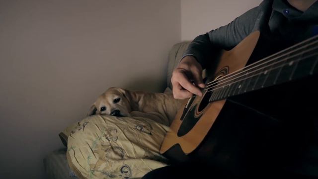 Собака и ее человек||The Dog with her human (Nothing Else Matters guitar cover) смотреть онлайн