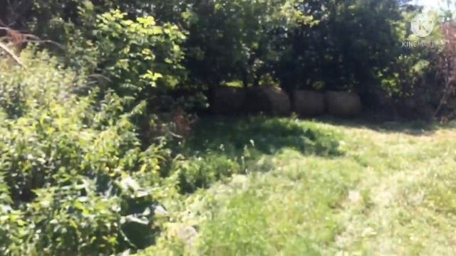 Готовимся к зиме)) смотреть онлайн