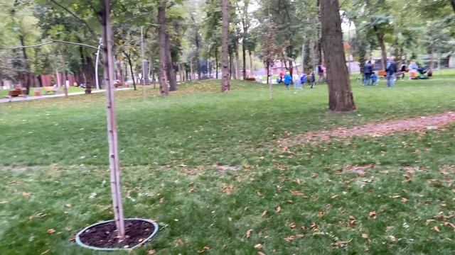 Три типа повесток: уточнение учётных данных, прохождение медкомиссии и мобилизационное предписание смотреть онлайн