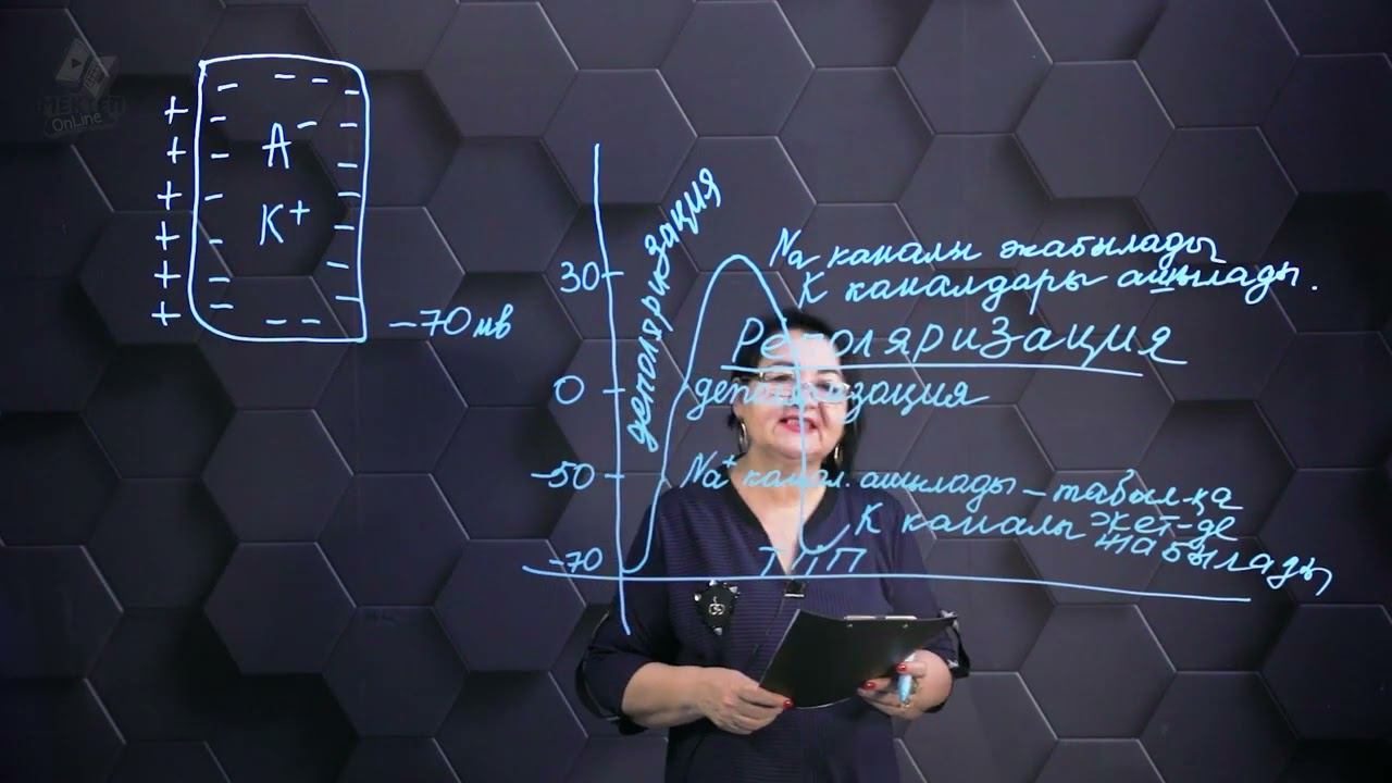 Әрекет потенциалының инициация мен трансмиссиясы. 1 бөлім. 10 сынып. смотреть онлайн