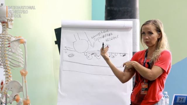 Часть 1. Строение мышечного волокна механизм мышечного сокращения смотреть онлайн