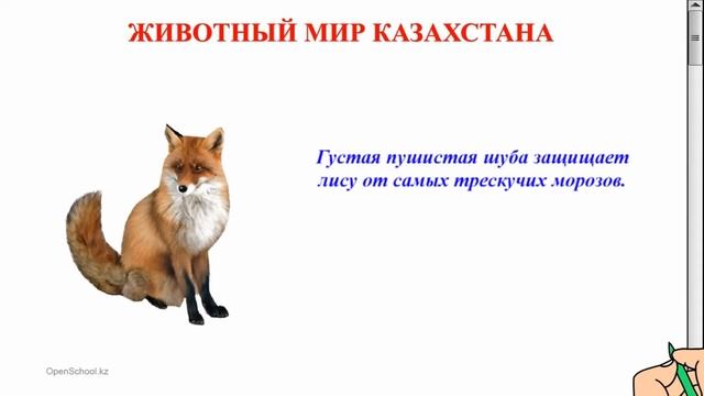 "ЖИВОТНЫЙ МИР КАЗАХСТАНА" Экологическая азбука смотреть онлайн