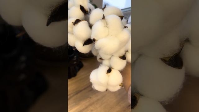 Сегодня распакуем товары из Wildberries ? Бюджетные товары, товары для интерьера смотреть онлайн