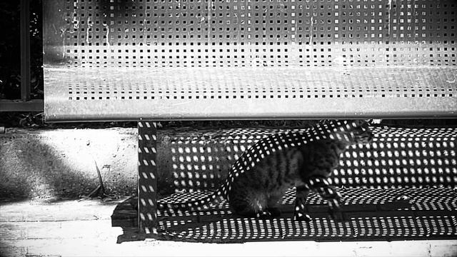 Panasonic HC W-850 random footage смотреть онлайн