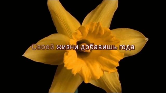 Возвращайся в родительский дом смотреть онлайн