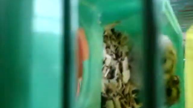 Я была в бане в первый раз!?как ВСЁ прошло смотреть онлайн