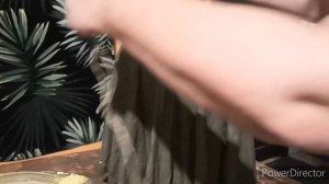 Вазон для вашего сада. Тряпка и цемент ,то что нам потребуется