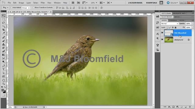 How to add a Watermark using Photoshop CS5 смотреть онлайн