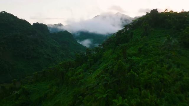 ★ Flauta De Pan Instrumental ★ Hermosa Música De Flauta ★