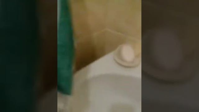 Что делать если кошка поцарапала лайфхак смотреть онлайн