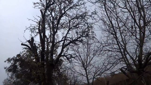 Давно заброшенная усадьба. Жена изучает подземелье смотреть онлайн