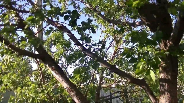 ДЕРЕВЕНСКИЙ ВЛОГ/шАшЛЫК ИЗ ДЕТСТВА/РЕЦЕПТ/КАК ДОЕХАЛИ смотреть онлайн