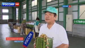 Видео поздравление с юбилеем в стиле Новостей на первом канале.