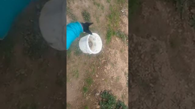 Любовь на даче! смотреть онлайн