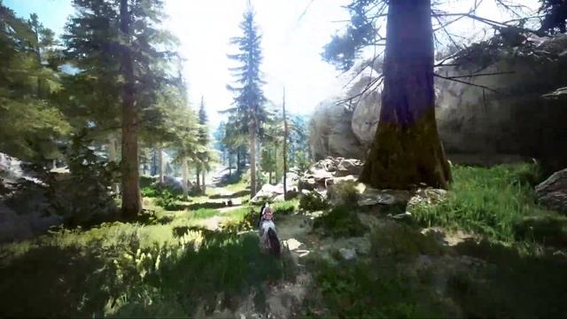 Сезонный сервер Black Desert Часто задаваемые вопросы. Немного об обновлении от 10. 06.20 смотреть онлайн